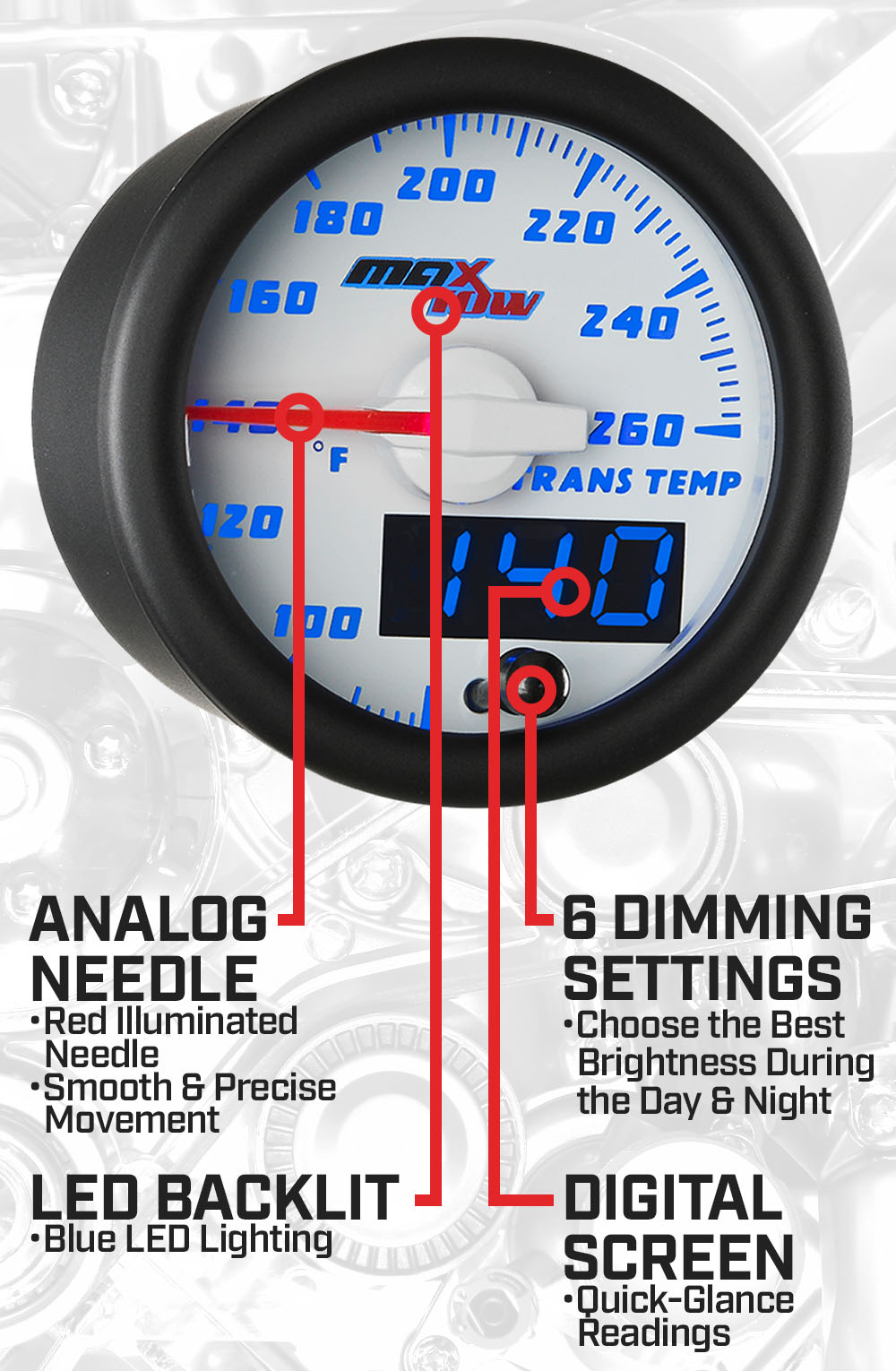 White & Blue Double Vision Transmission Temperature Gauge Features