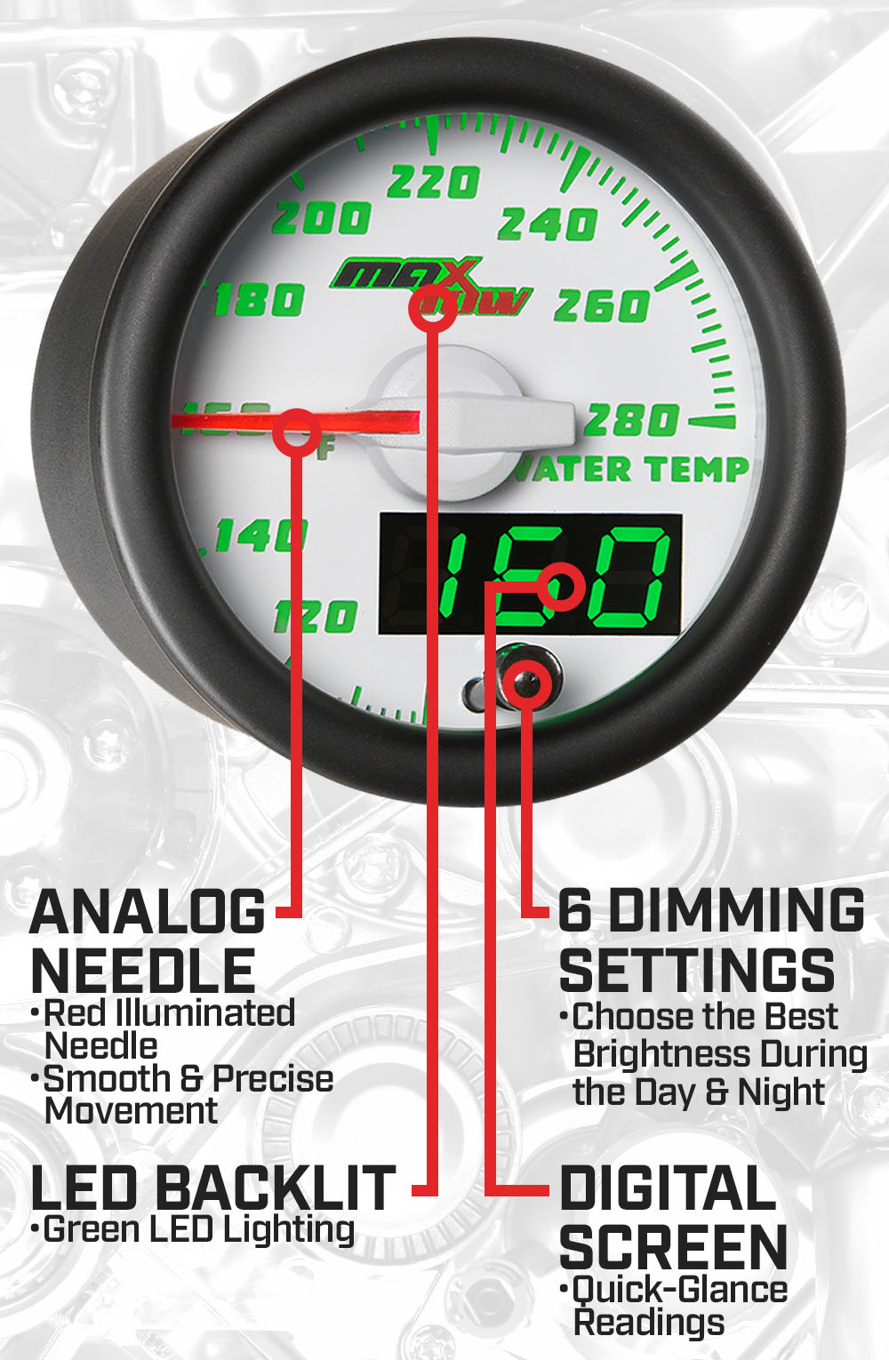 White & Green Double Vision Water Temperature Gauge Features